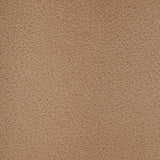 KRAVET DESIGN - KRAVET DESIGN- CRISP-106 - Fabric by the Yard
