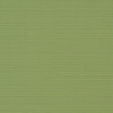 Charlotte - D1015 - Basil - Fabric by the Yard