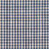 Charlotte - D116 - Wedgewood Gingham - Fabric by the Yard