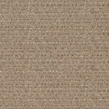 Charlotte - D1183 - Sandstone - Fabric by the Yard