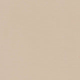 Charlotte - D1410 - Ecru - Fabric by the Yard