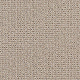 Charlotte - D1447 - Ecru Texture - Fabric by the Yard