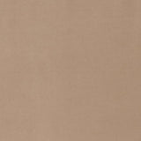 Charlotte - D1481 - Buff - Fabric by the Yard