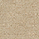 Charlotte - D1594 - Barley - Fabric by the Yard