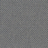 Charlotte - D1618 - Admiral - Fabric by the Yard