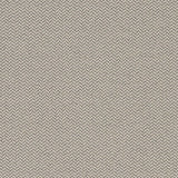 Charlotte - D1622 - Zinc - Fabric by the Yard