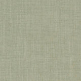 Charlotte - D1701 - Spring - Fabric by the Yard