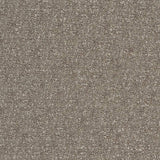 Charlotte - D1715 - Granite - Fabric by the Yard