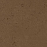 Charlotte - D1922 - Sable - Fabric by the Yard