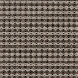 Charlotte - D1964 - Onyx - Fabric by the Yard