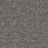Charlotte - D1989 - Denim - Fabric by the Yard