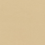 Charlotte - D2333 - Barley - Fabric by the Yard