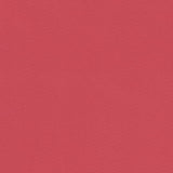Charlotte - D2345 - Bubblegum - Fabric by the Yard