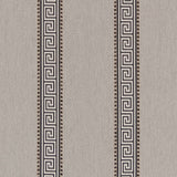 Charlotte - D2424 - Graphite - Fabric by the Yard