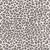 Charlotte - D2456 - Flint - Fabric by the Yard
