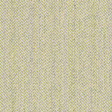 Charlotte - D2532 - Spring - Fabric by the Yard