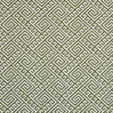 Charlotte - D2553 - Lime - Fabric by the Yard