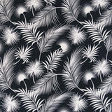 Charlotte - D2748 - Obsidian - Fabric by the Yard