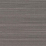 Charlotte - D2777 - Iron - Fabric by the Yard