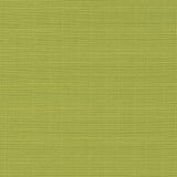 Charlotte - D2795 - Pear - Fabric by the Yard