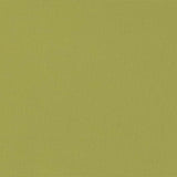 Charlotte - D2804 - Kiwi - Fabric by the Yard