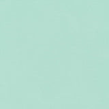 Charlotte - D2806 - Aqua - Fabric by the Yard