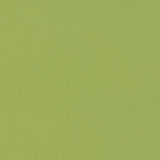 Charlotte - D2819 - Lime - Fabric by the Yard