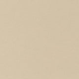 Charlotte - D2826 - Taupe - Fabric by the Yard