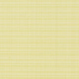 Charlotte - D2838 - Citrus - Fabric by the Yard