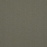 Charlotte - D2891 - Sage - Fabric by the Yard