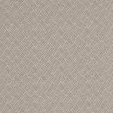 Charlotte - D3093 - Silver - Fabric by the Yard