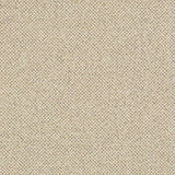 Charlotte - D3272 - Beige Cobble - Fabric by the Yard