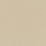 Charlotte - D3375 - Ash - Fabric by the Yard