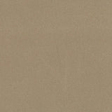 Charlotte - D3381 - Clay - Fabric by the Yard