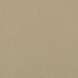 Charlotte - D3382 - Thistle - Fabric by the Yard