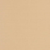 Charlotte - D3424 - Almond - Fabric by the Yard