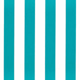 Charlotte - D3477 - Cabana Aruba - Fabric by the Yard