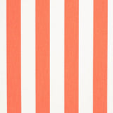 Charlotte - D3488 - Cabana Mandarin - Fabric by the Yard