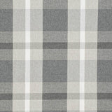 Charlotte - D3514 - Carbon - Fabric by the Yard