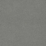Charlotte - D3615 - Flint - Fabric by the Yard
