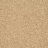 Charlotte - D3623 - Wheat - Fabric by the Yard