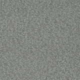 Charlotte - D3631 - Haze - Fabric by the Yard