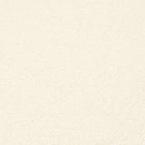 Charlotte - D3637 - Ivory - Fabric by the Yard