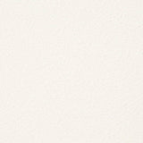 Charlotte - D3638 - Snow - Fabric by the Yard