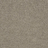 Charlotte - D3648 - Feather - Fabric by the Yard