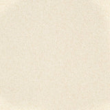 Charlotte - D3660 - Vanilla - Fabric by the Yard