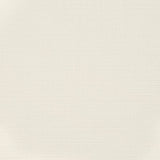 Charlotte - D3681 - Snow - Fabric by the Yard