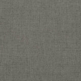 Charlotte - D3691 - Graphite - Fabric by the Yard