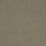 Charlotte - D3887 - Sage - Fabric by the Yard