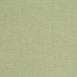 Charlotte - D3951 - Lime - Fabric by the Yard